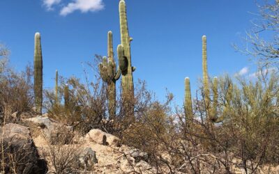 Aus der Zeit gefallen