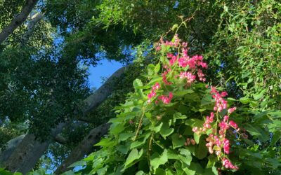 Wahrheit braucht Wurzeln