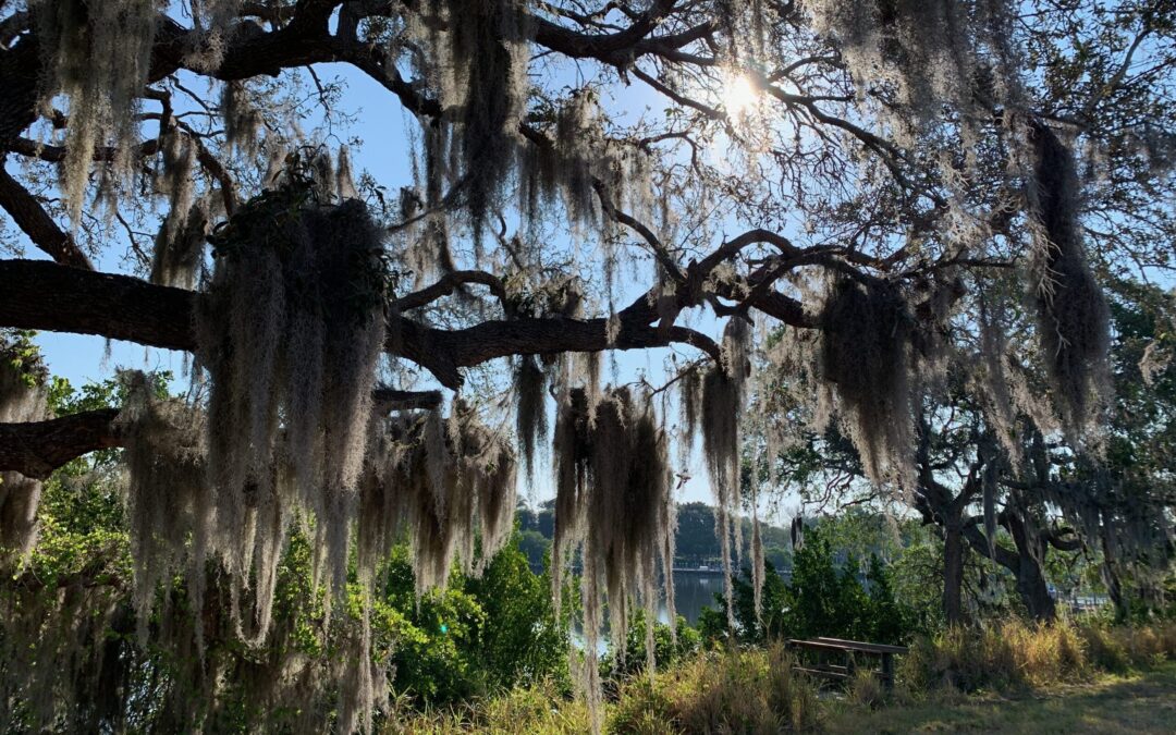 Freiheit beginnt im Bewusstsein