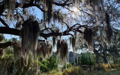 Freiheit beginnt im Bewusstsein