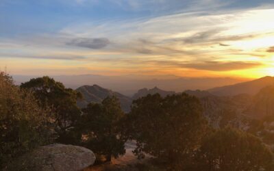 Impulse zum Aufwachen jetzt auch auf Substack