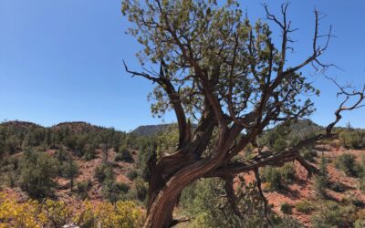 Aufwachen – warum eigentlich?