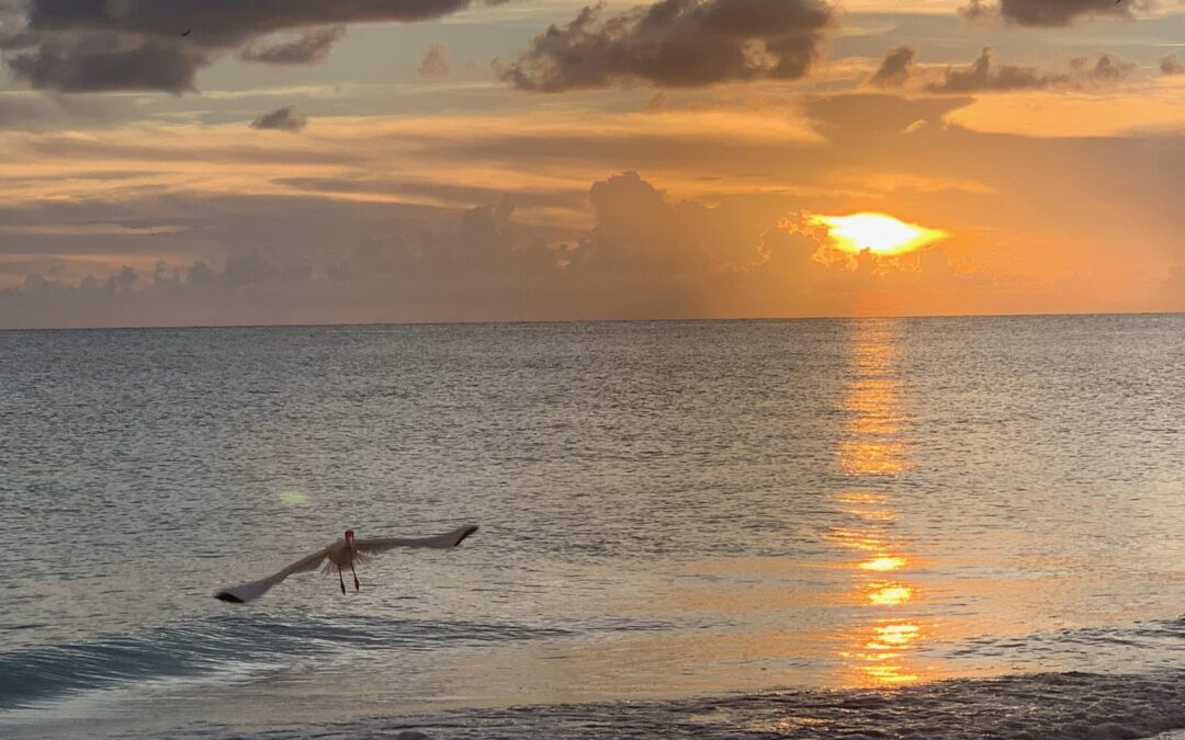 Eigentlich ist alles ganz einfach