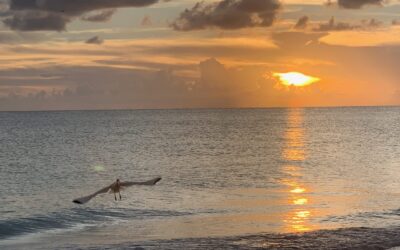 Eigentlich ist alles ganz einfach