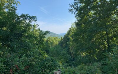 Bewerten oder verurteilen – kennst du den feinen Unterschied?