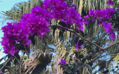 Mut und Loslassen – der Beginn jeder Veränderung