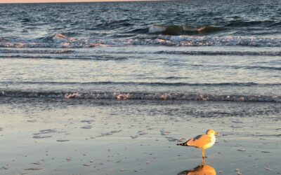 Vom Denken ins Tun – Fokus statt Ausreden