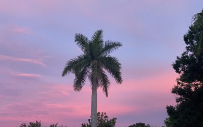 Stillstand ist auch eine Entscheidung