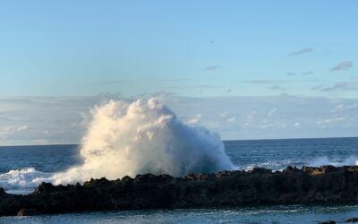 Warum mentale Stärke im Körper beginnt
